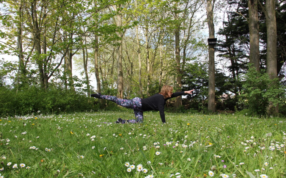 Actieve staande en zittende houdingen