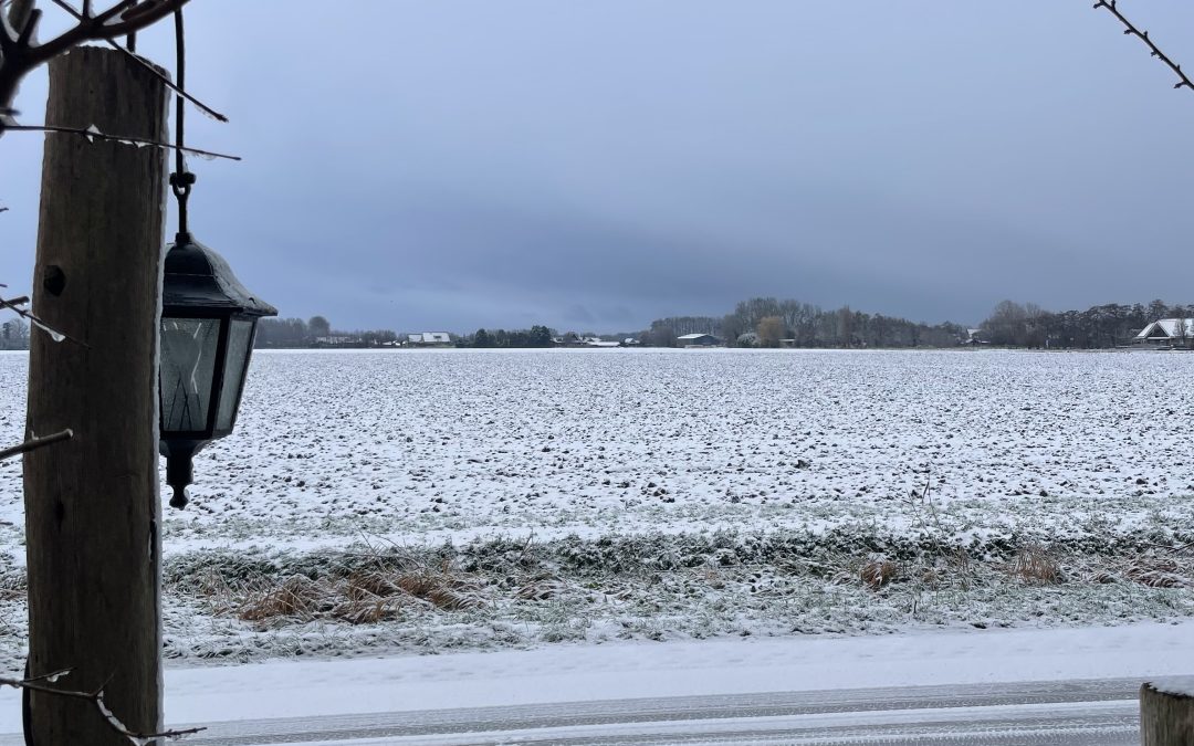Staande houdingen